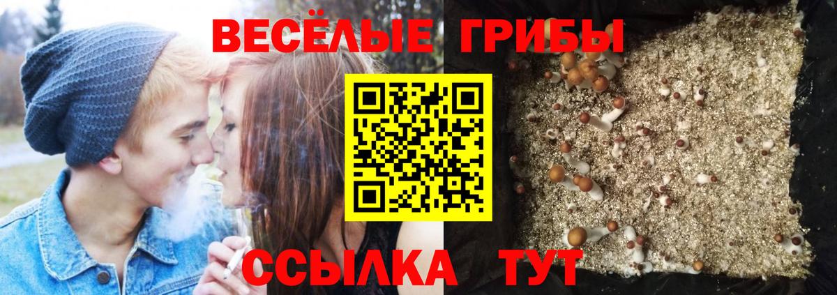 Псилоцибиновые грибы Magic Shrooms  Вход с VPN  Псилоцибиновые грибы прущие грибы  Дербент 